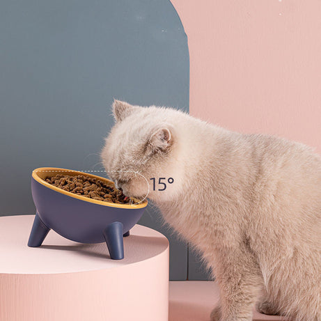 Cat Dog Bowl With Stand Pet Feeding Food Bowls Dogs Bunny Rabbit
