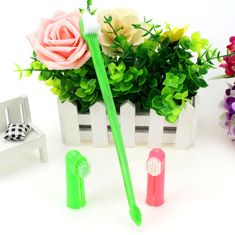 Pet Toothbrush Three-piece Set Double-headed