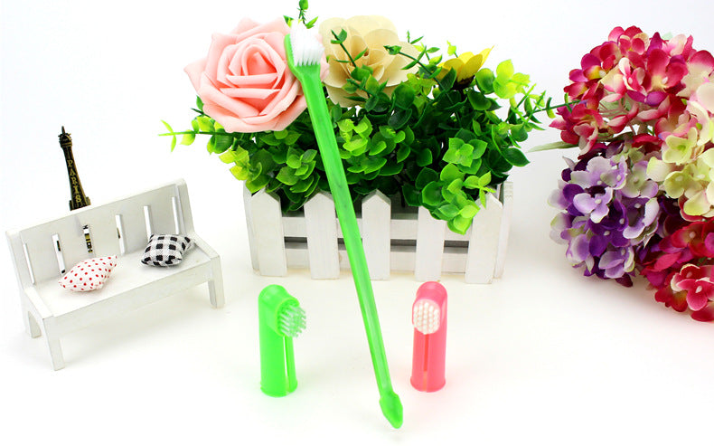 Pet Toothbrush Three-piece Set Double-headed