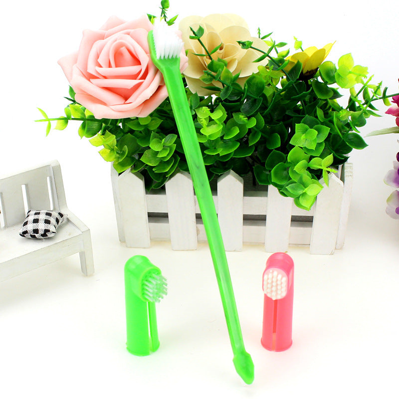 Pet Toothbrush Three-piece Set Double-headed