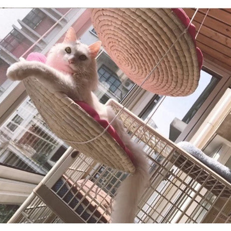 Cat Climbing Frame Litter Tree Jumping Platform Scratching