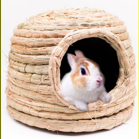 Hamster Nest Warm Winter Pig Hedgehog House