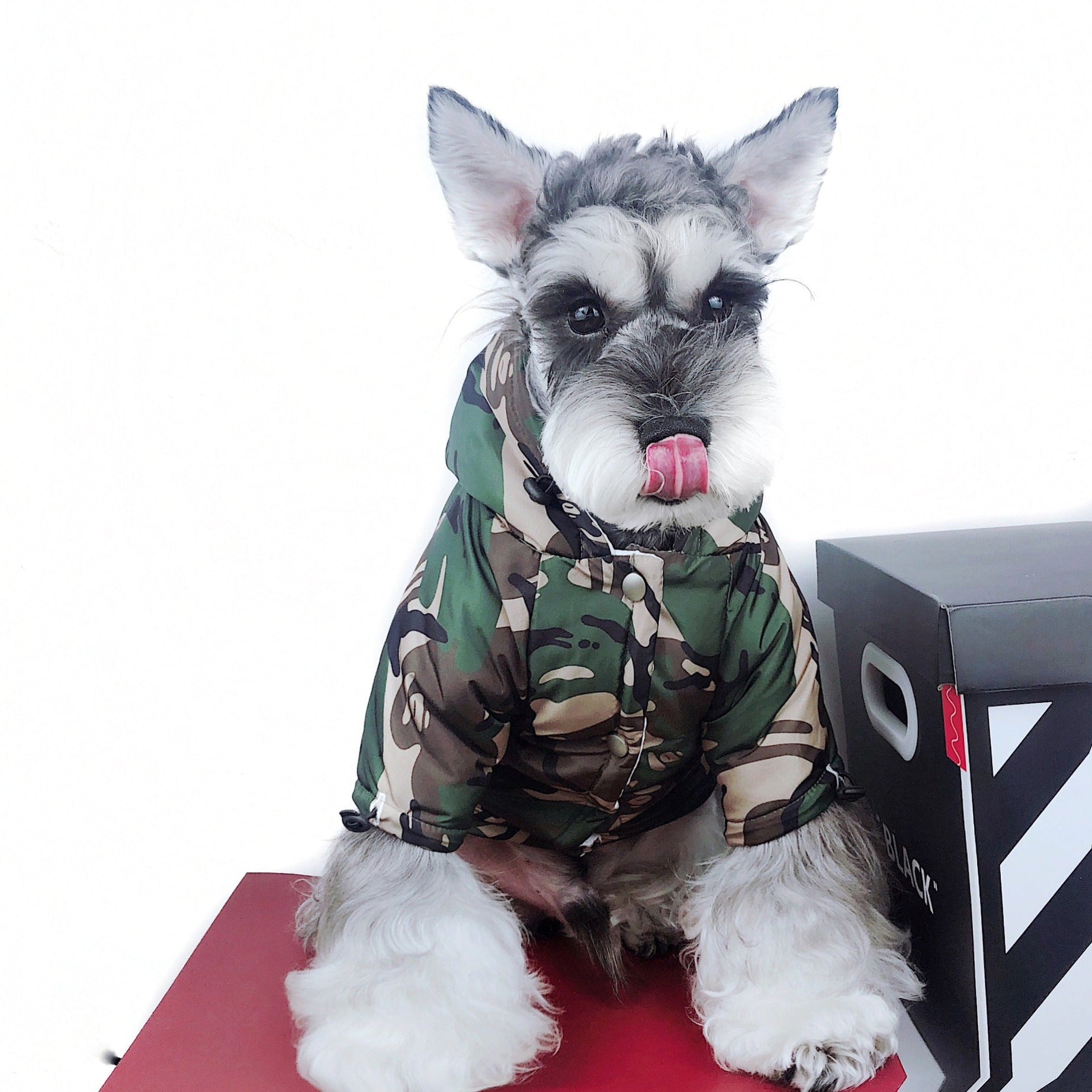 Raincoat Dog Clothes Method Teddy Schnauzer Waterproof Snowproof
