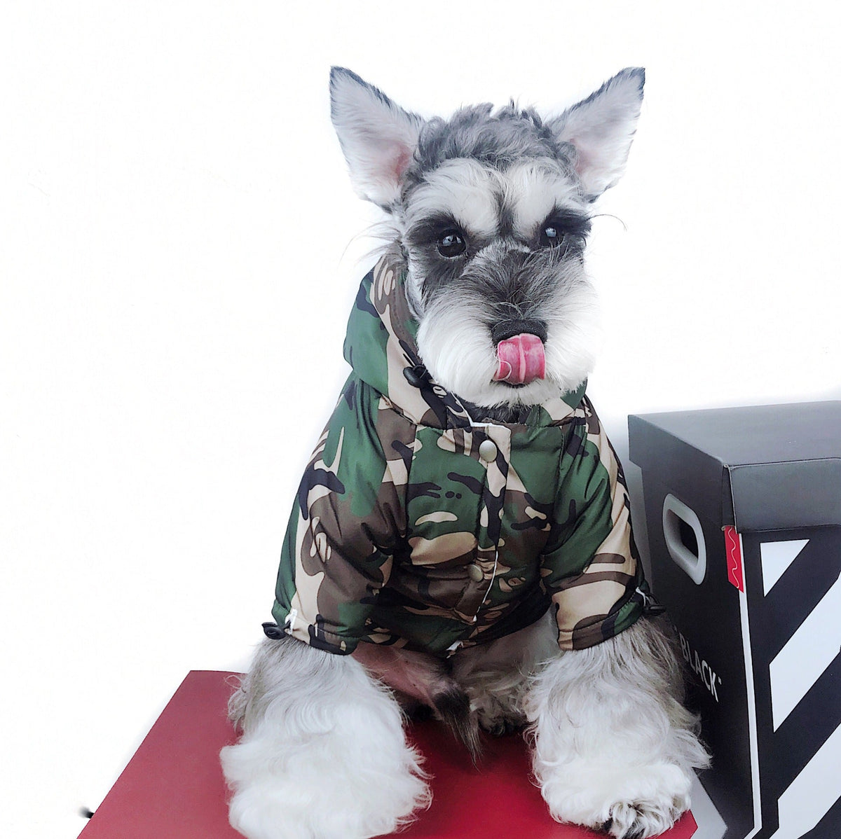 Raincoat Dog Clothes Method Teddy Schnauzer Waterproof Snowproof