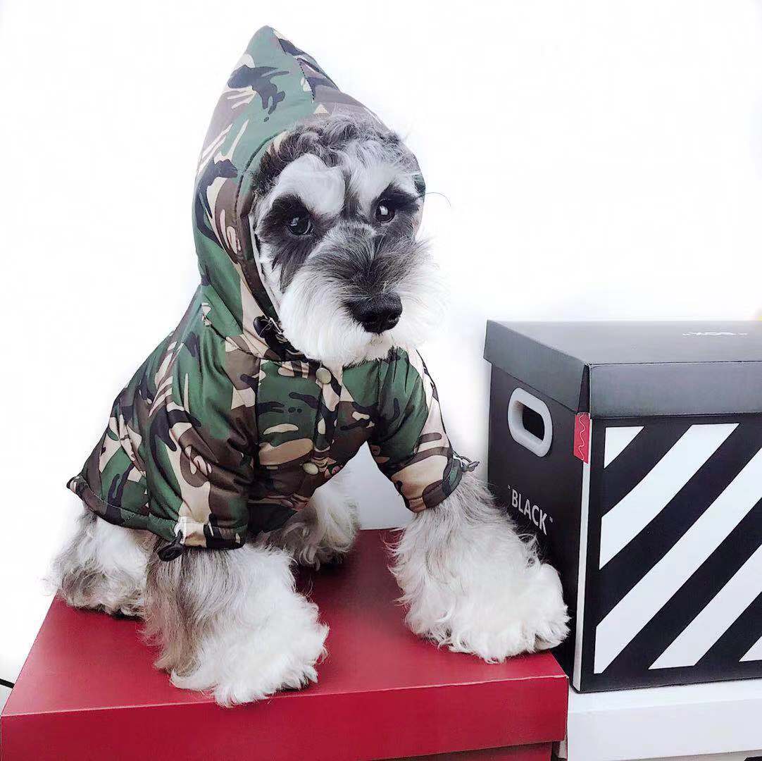 Raincoat Dog Clothes Method Teddy Schnauzer Waterproof Snowproof
