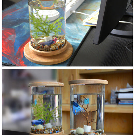 Small Office Glass Aquarium Bamboo Base Mini Fish Tank Decoration