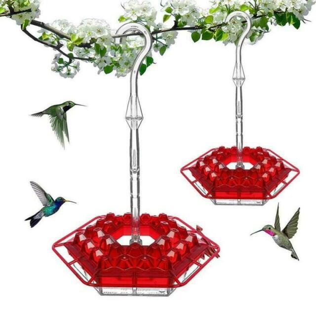 New Flower Hexagonal Bird Feeder Sensation Coneflower
