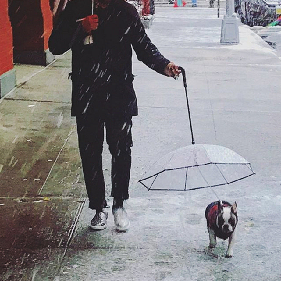 Dog's Transparent Umbrella With Traction Chain Removable Pet