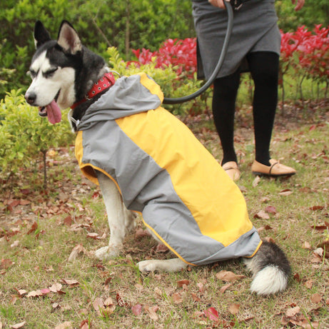 Color Block Cloak Big Dog Raincoat Outdoor Breathable Jacket