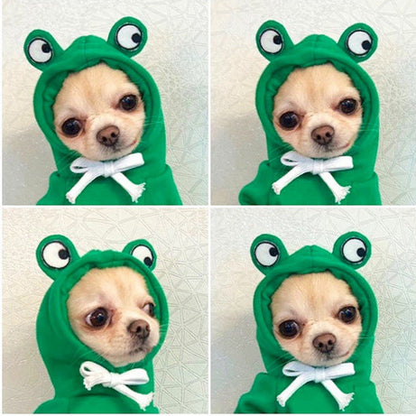 Cute Fruit Dog Clothes For Small Dogs Hoodies Winter Warm Fleece