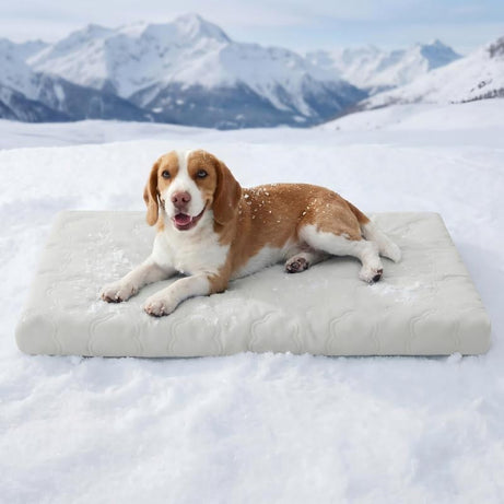 Pet Dog Cooling Mat Summer Pad