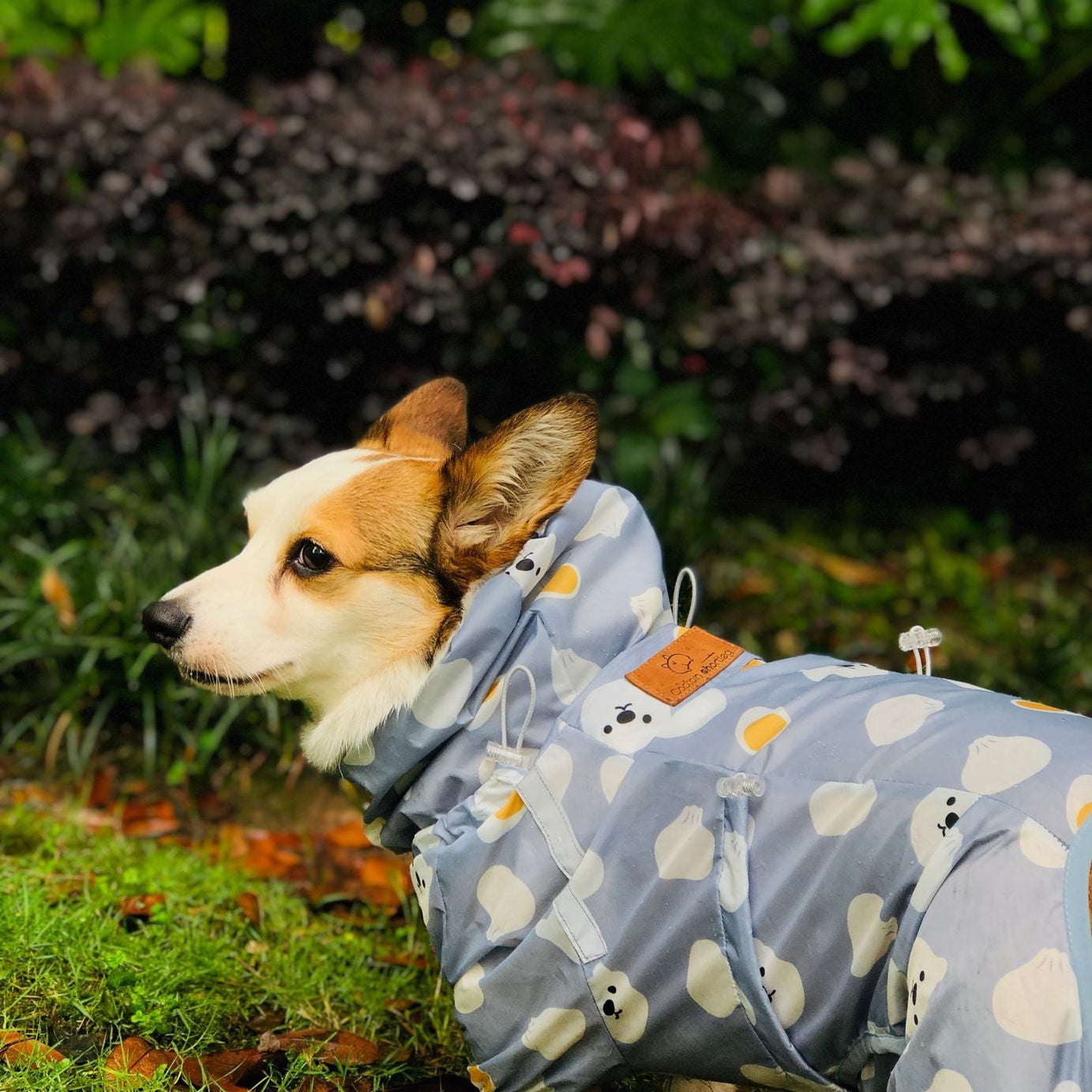 Short Leg Captain Golden Retriever Corgi Fully Wrapped Waterproof