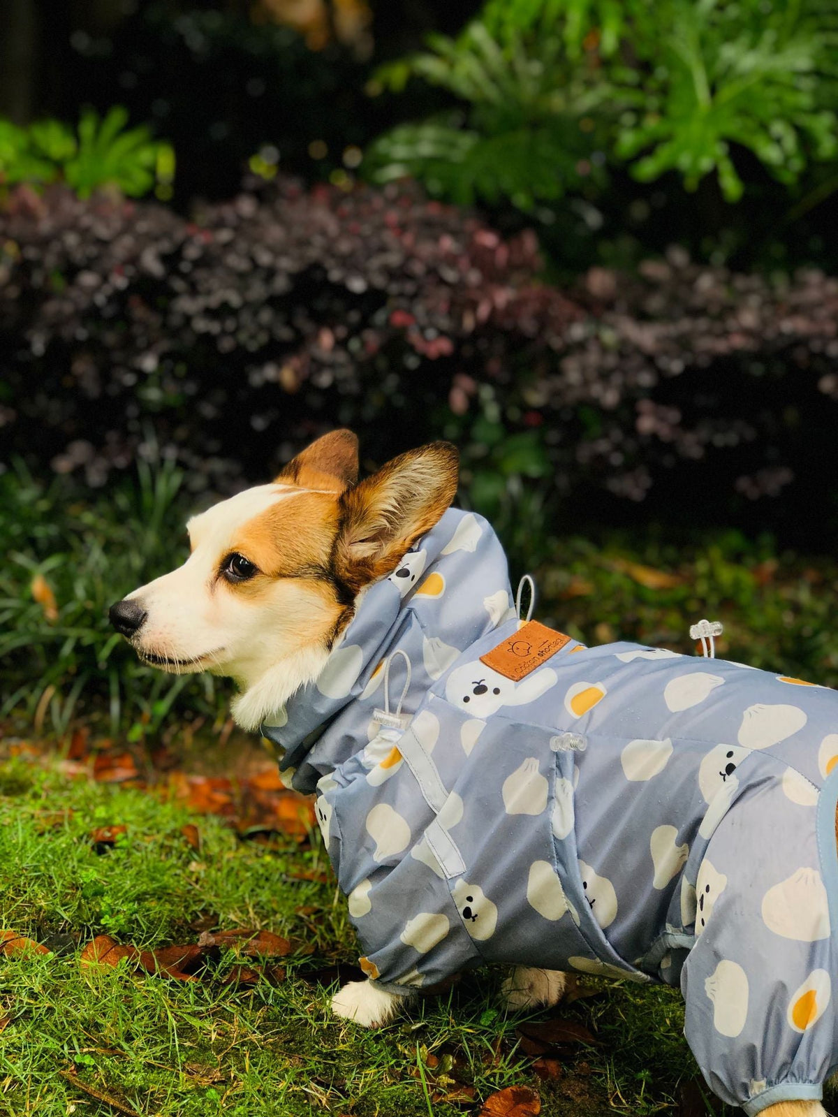 Short Leg Captain Golden Retriever Corgi Fully Wrapped Waterproof