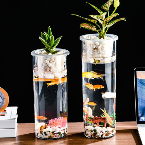 Living Room Micro Landscape Desktop Ecological Pot Transparent