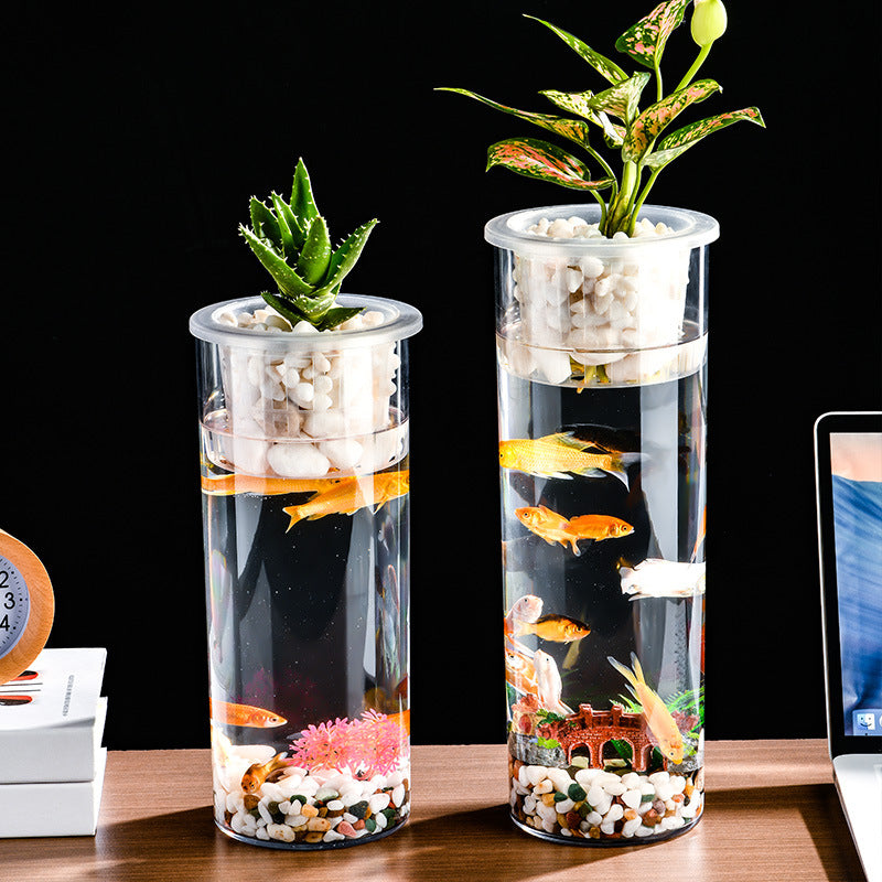 Living Room Micro Landscape Desktop Ecological Pot Transparent