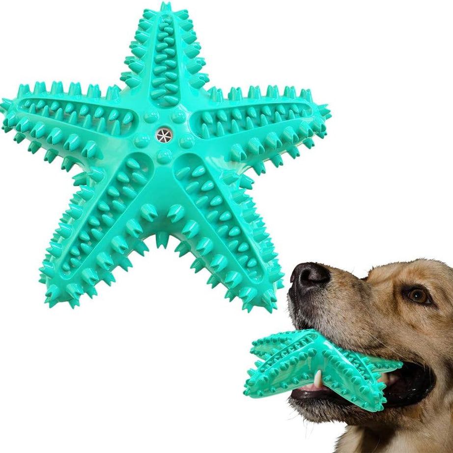 Sounding Starfish The Natural Toothbrush For Small And Medium Dogs