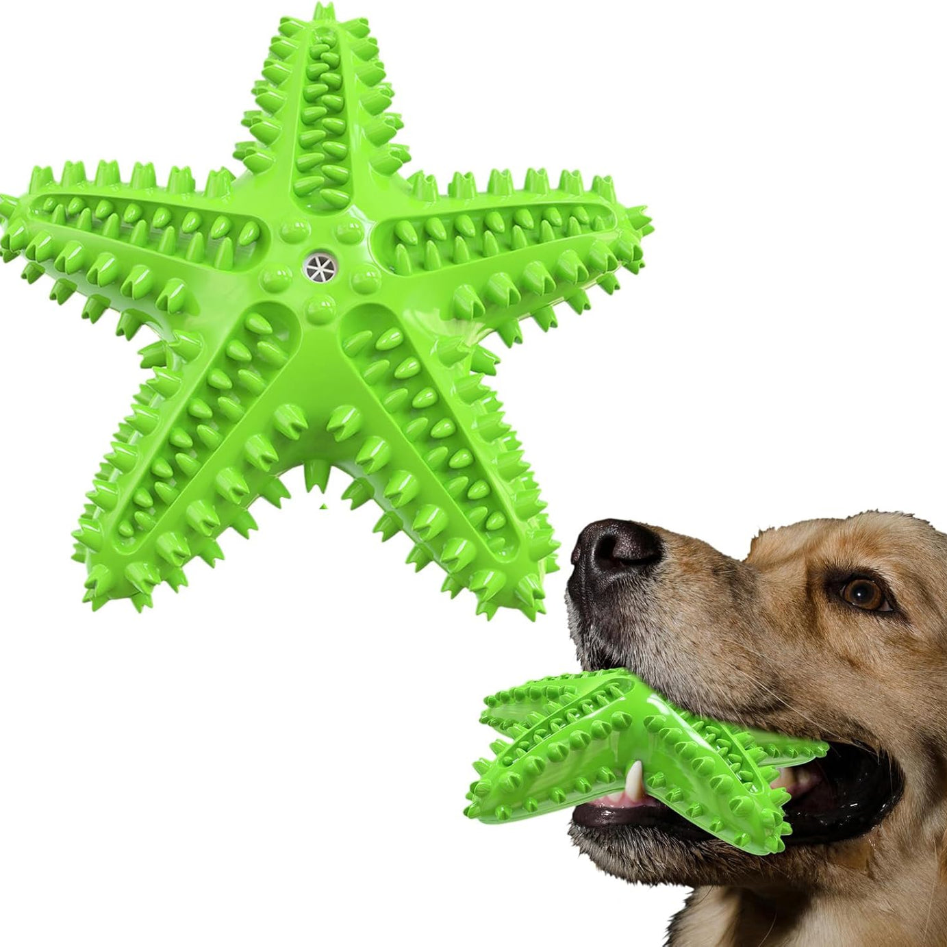 Sounding Starfish The Natural Toothbrush For Small And Medium Dogs