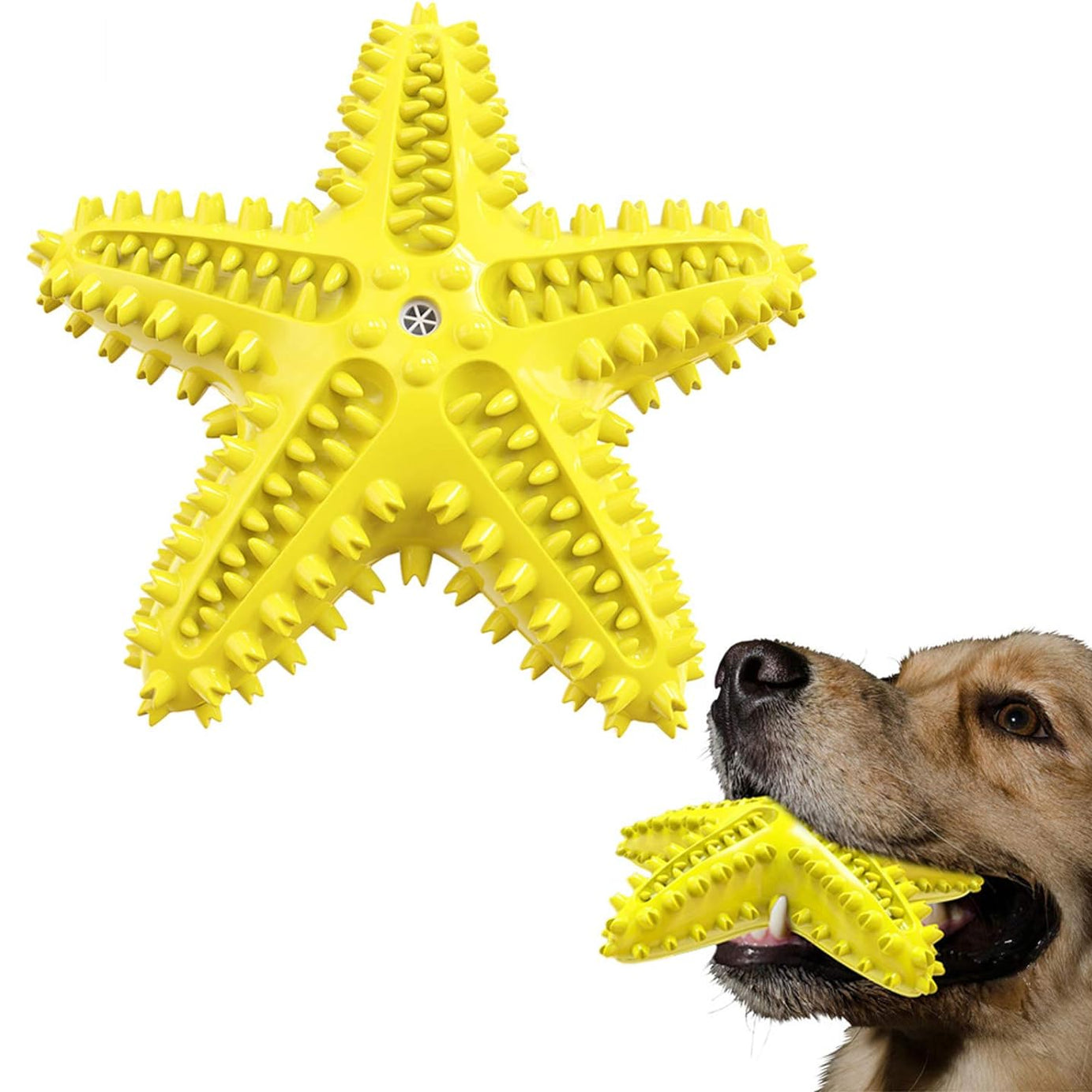 Sounding Starfish The Natural Toothbrush For Small And Medium Dogs