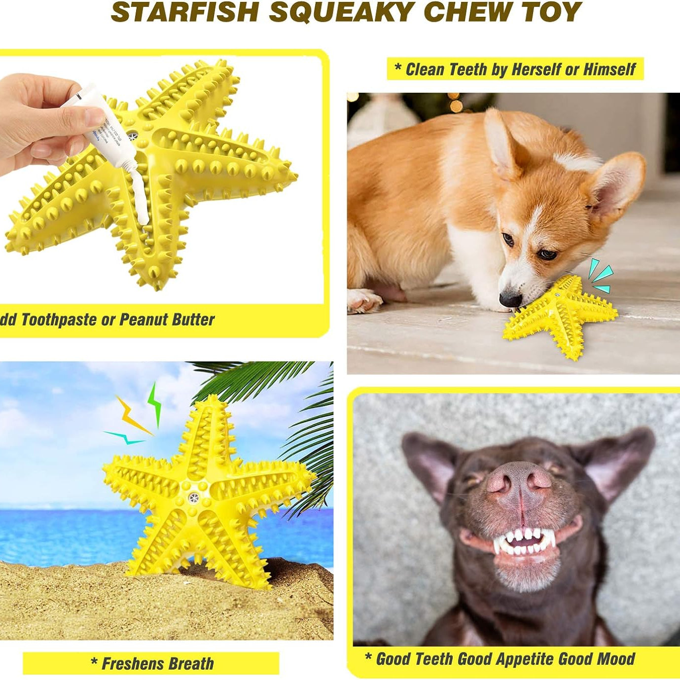 Sounding Starfish The Natural Toothbrush For Small And Medium Dogs