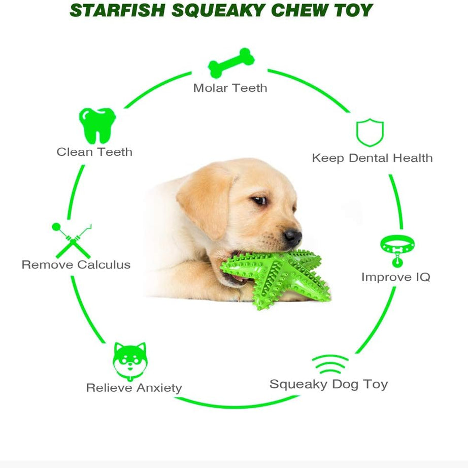 Sounding Starfish The Natural Toothbrush For Small And Medium Dogs