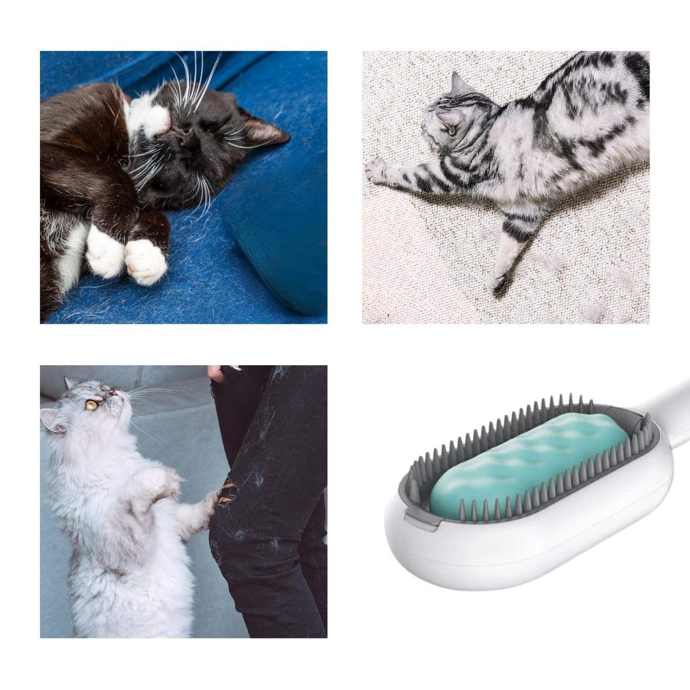 Cat Hair Brush With Water Sticky For Cats 4 In-1 Grooming Creative