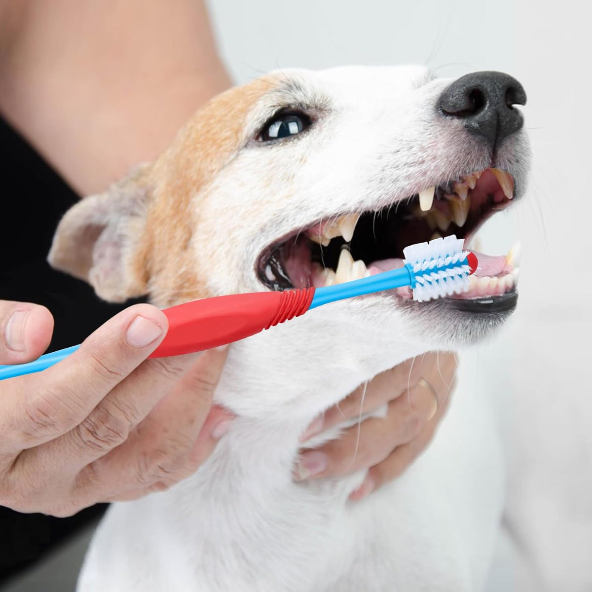Dog Toothbrush 360 Degree Tooth Brush Dual Head Brushing Kit Non