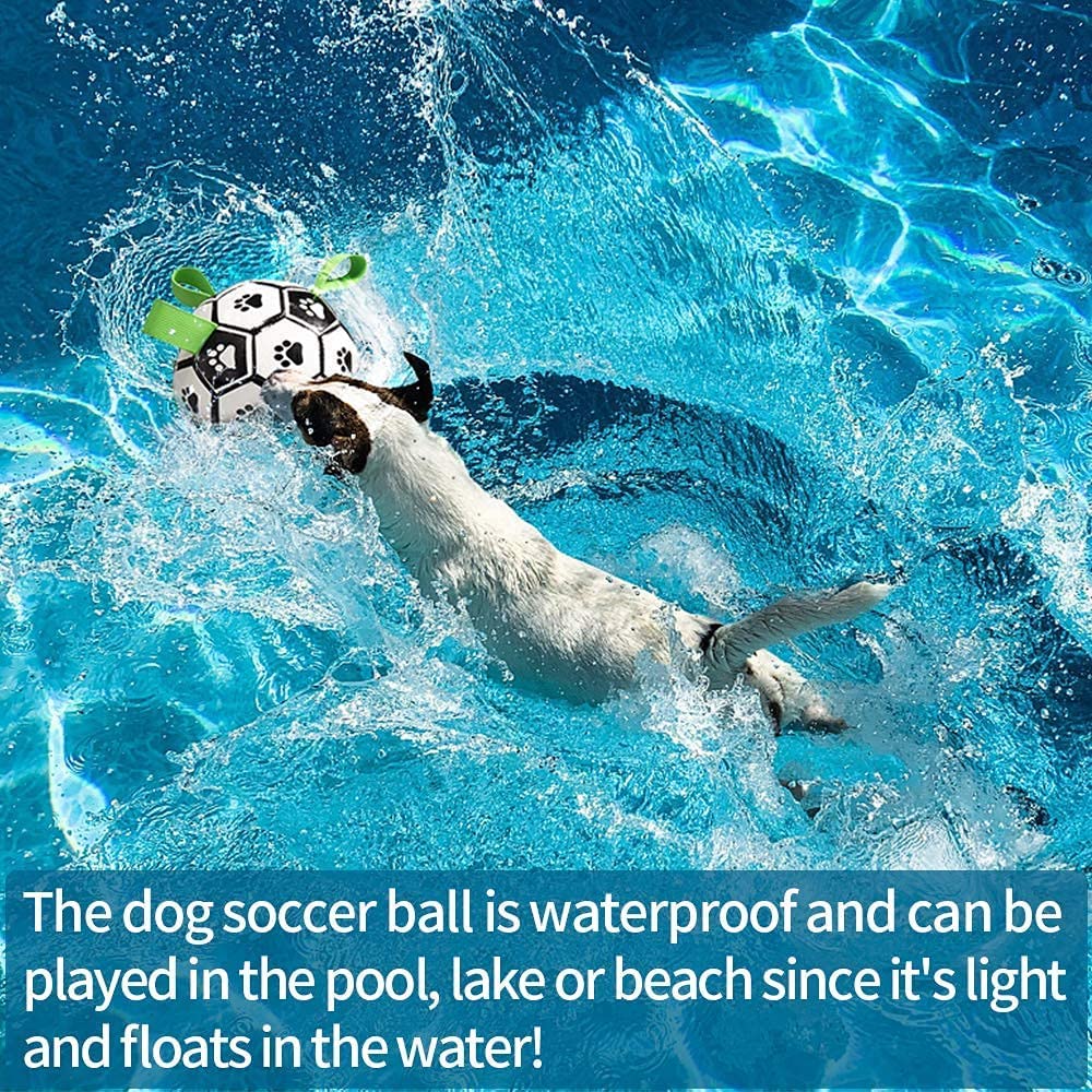 Interactive Dog Football Toy Soccer Ball Inflated Training For Dogs