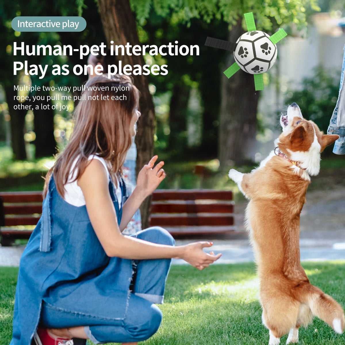Interactive Dog Football Toy Soccer Ball Inflated Training For Dogs
