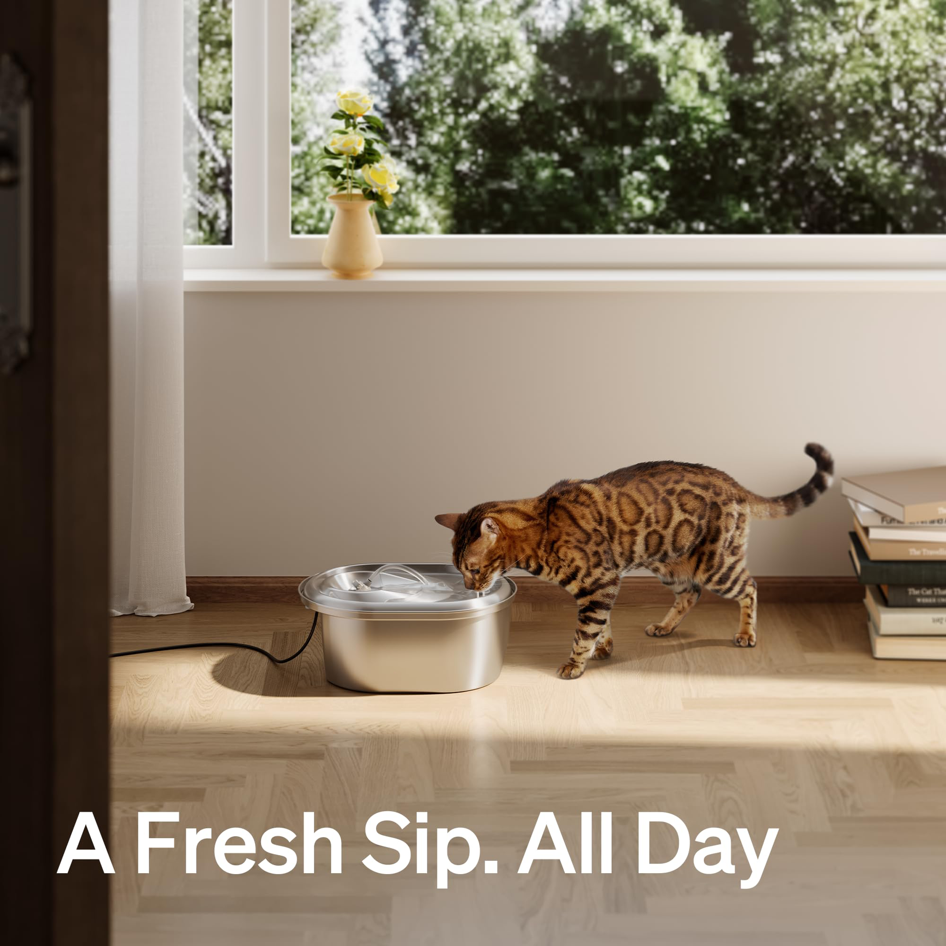 Stainless Steel Cat Water Fountain 101oz 3l Automatic Dispenser