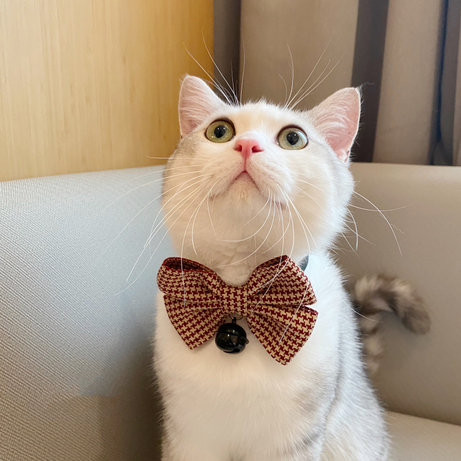 Pet Collar Puppet Cat Bow Decoration