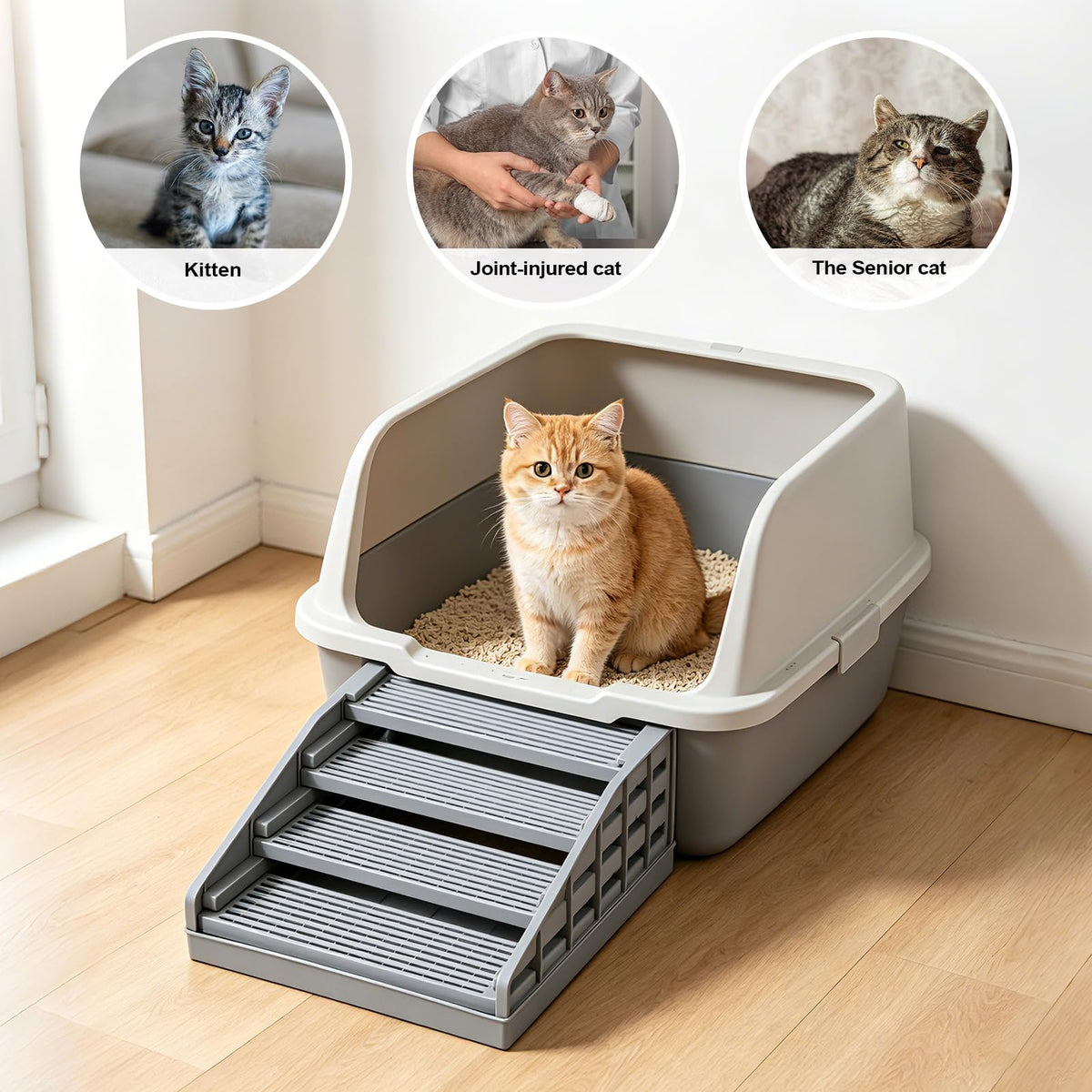 Adjustable Litter Box Ramp Elevated Cat Stairs With Filter Function