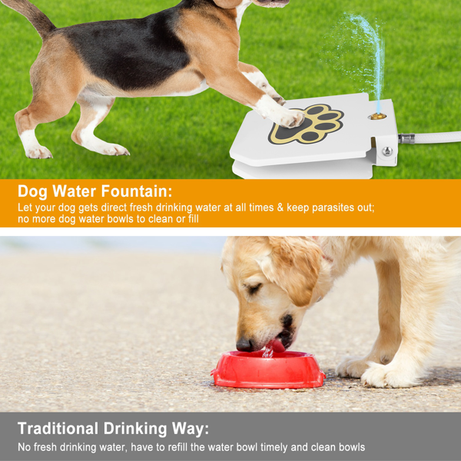 Dog Water Fountain Outdoor No Electricity Step-on Activated Pet
