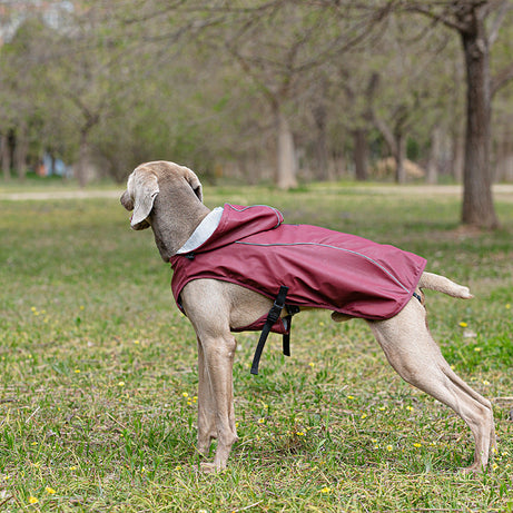 Pet Pu Raincoat Clothes Medium And Large Portable Universal