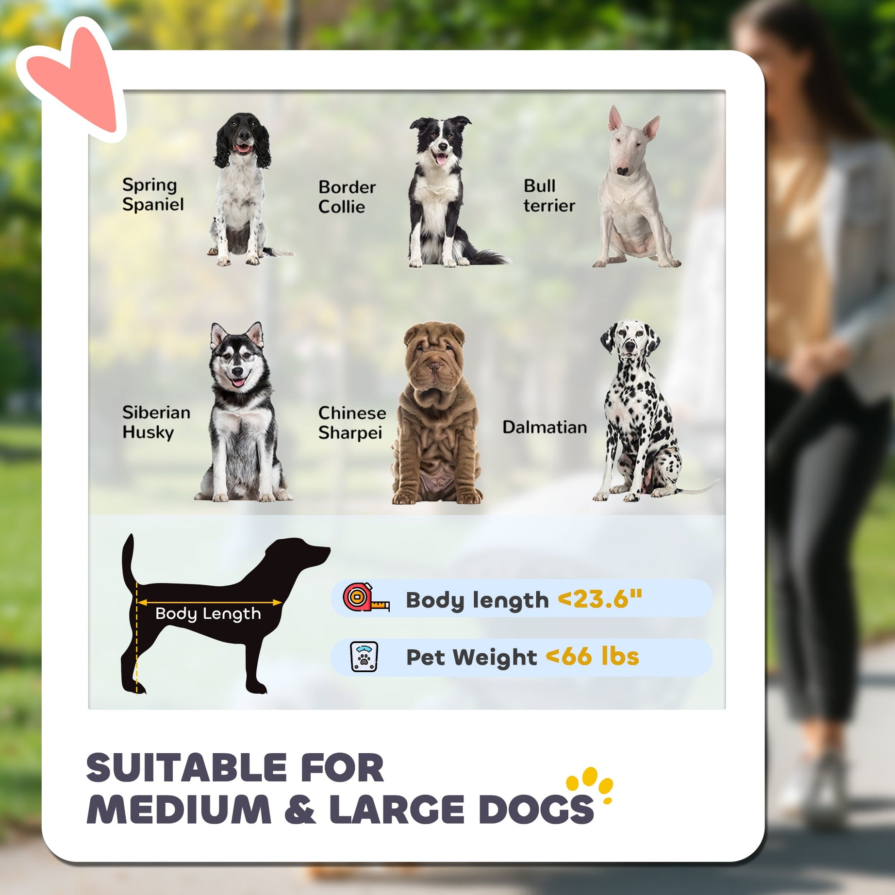 One-click Foldable Dog Stroller For M L Dogs Pet Black