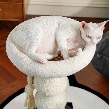 Small Space-saving Tree Sisal Scratching Post Cat Climbing Frame