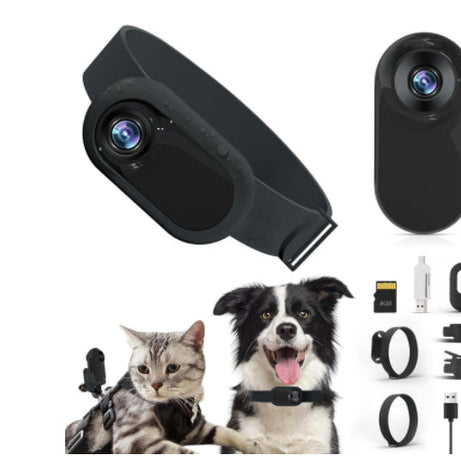 Pet Supplies Cat And Dog Collar Camera Indoor And Outdoor Wireless