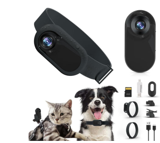 Pet Supplies Cat And Dog Collar Camera Indoor And Outdoor Wireless