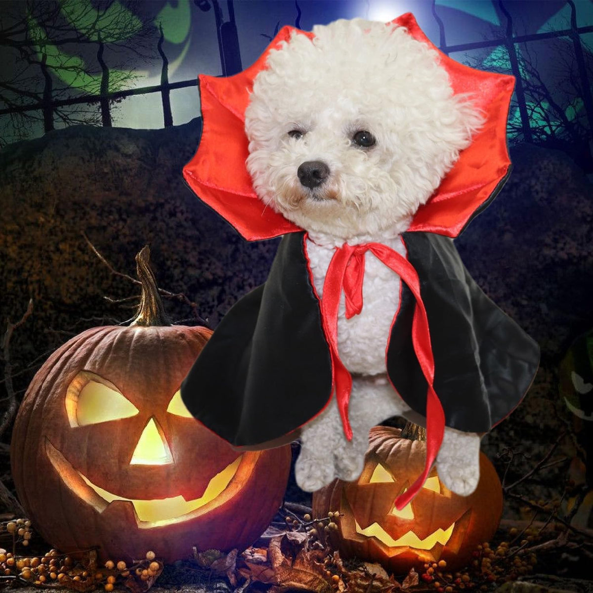Cute Halloween Pet Costumes Cosplay Vampire Cloak For Small Dog Cat