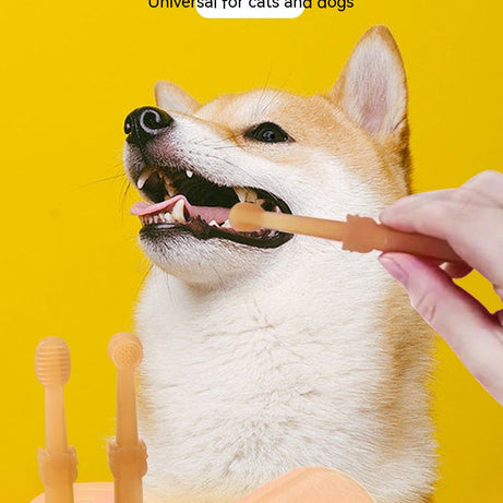 Cat Silicone Toothbrush Dog Set Pet Brushing Teeth Cleaning Supplies