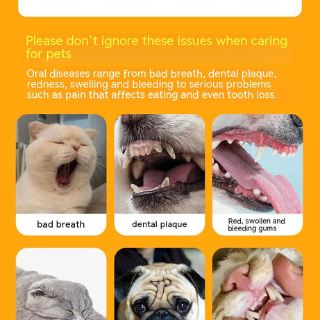 Cat Silicone Toothbrush Dog Set Pet Brushing Teeth Cleaning Supplies