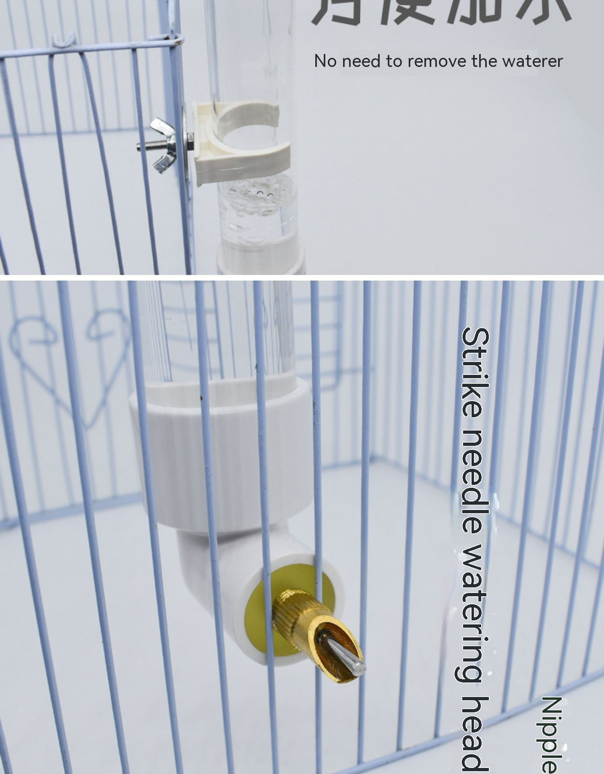 Parrot Water Fountain Firing Pin Drinking Bottle Large Automatic