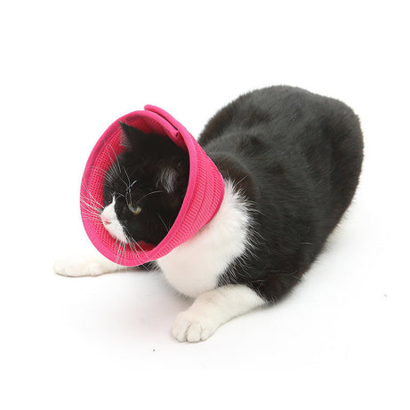 Dog Cat Anti-bite Collar Pet Medical Recovery Collars Transparent
