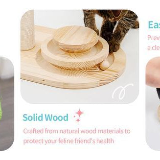 Mushroom Sisal Rope 2-in-1 Wooden Interactive Ball Track Cat