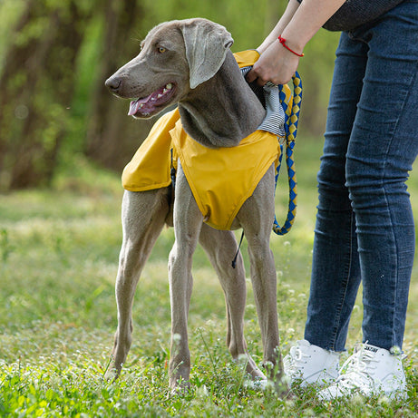 Pet Pu Raincoat Clothes Medium And Large Portable Universal