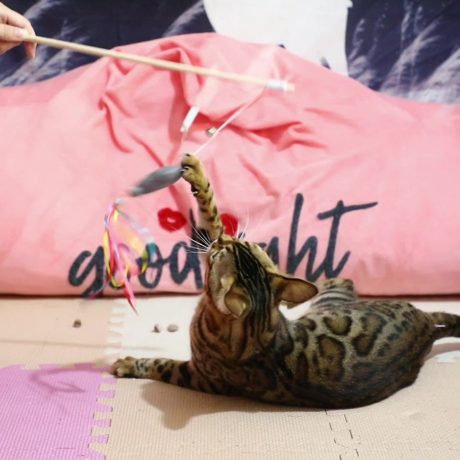 Cat Wand Toys Interactive With Catnip Fish Colorful Ribbons Bell
