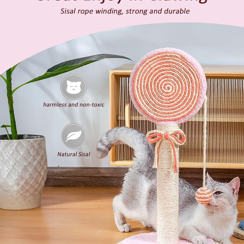 Cat Scratching Post Cute Kittens Scratch Posts With Hanging Ball