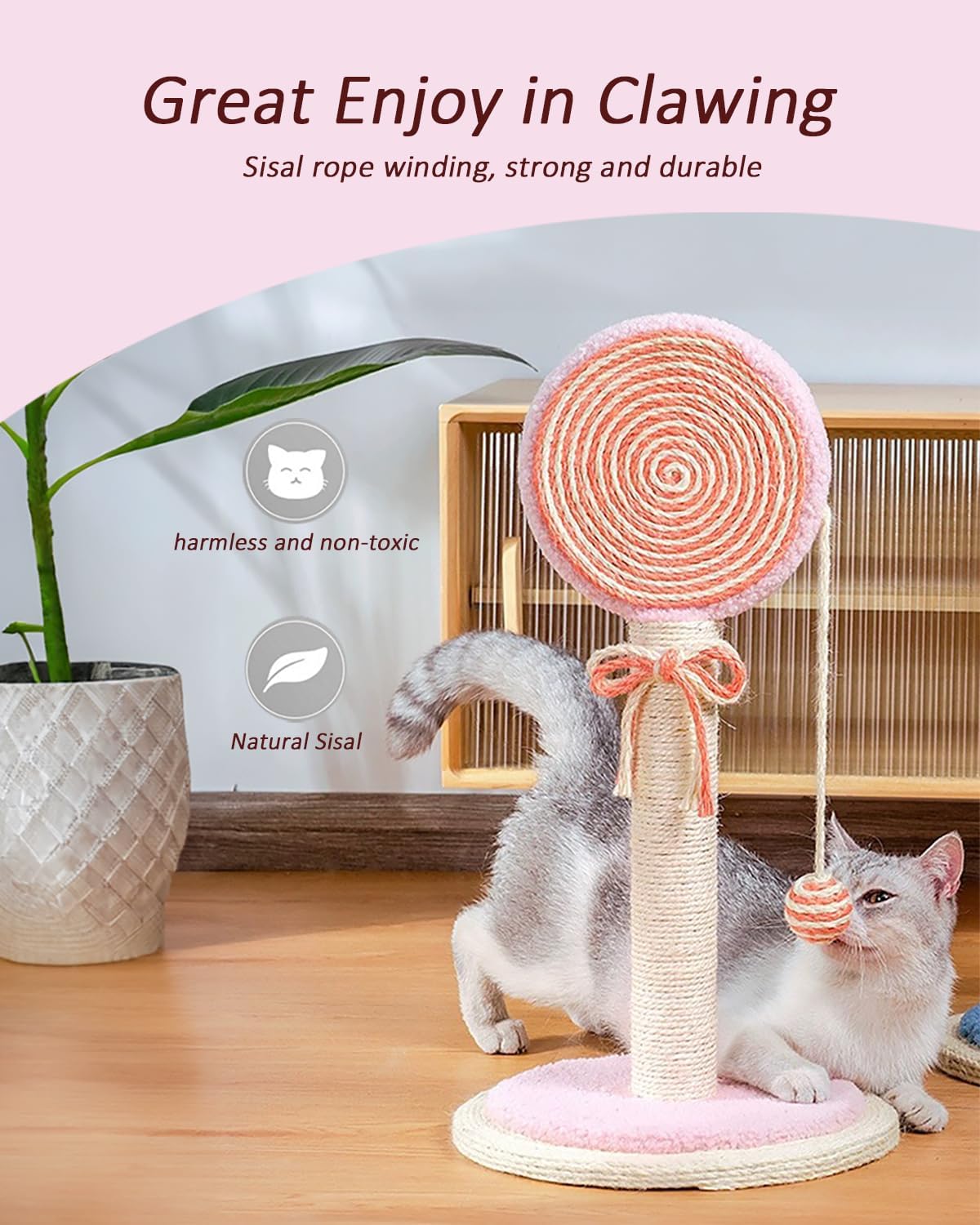 Cat Scratching Post Cute Kittens Scratch Posts With Hanging Ball