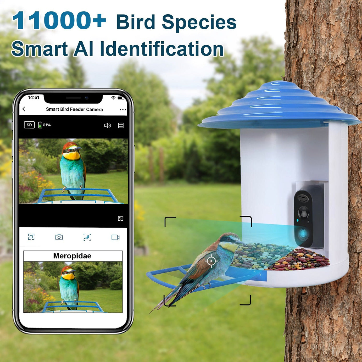 Smart Bird Feeder With Solar Powered Camera 1080p Hd Ai Identify