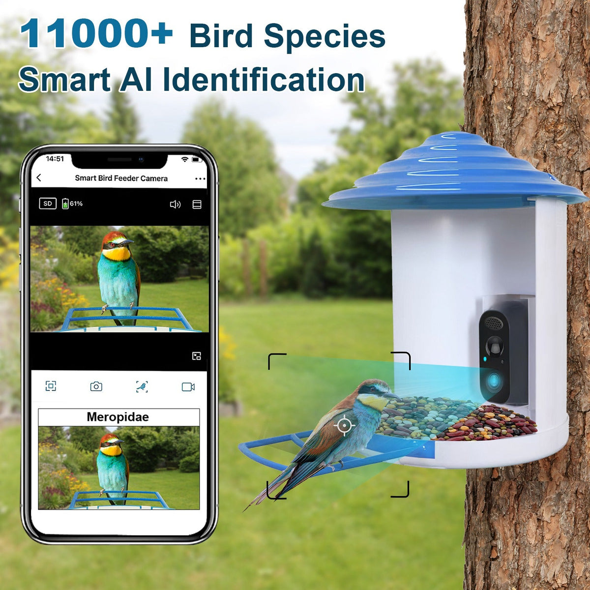 Smart Bird Feeder With Solar Powered Camera 1080p Hd Ai Identify
