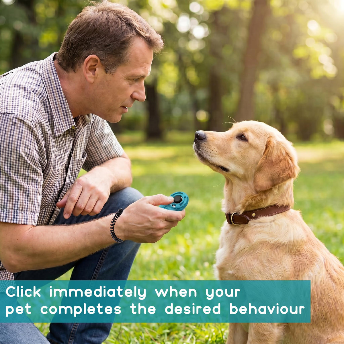 Dog Training Clicker With Sring Wrist And Keyring Pet Clickers